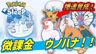 【必見】微課金ユーザーの初ウノハナ計画と目標！イーブイ爆速超育成！【ポケモンスリープ】