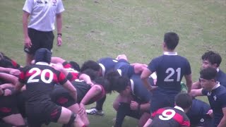 関東大学ラグビー対抗A・Bグループ入替戦2019 成蹊大学VS立教大学 06