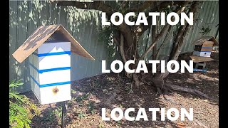 Native bee hive placement : Australian Native Bee Tips