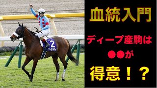 【競馬初心者】『血統とは！？』〜知って得する初めての競馬〜