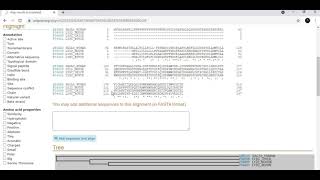 How to align Protein sequences | Phylogenetic relationship | UniProt 2| Bioinformatics