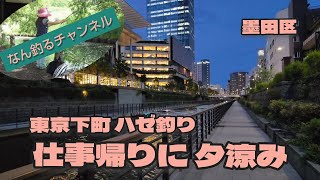 東京下町江戸前ハゼ釣り 仕事帰りに夕涼み