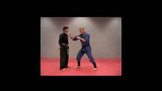 Learn How to be a Ninja without leaving your home "Karate master"