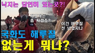 국화도에 개조개만 있다고?? NO! 낙지, 피조개 그리고 쭈꾸미까지~더욱더 기대되는 곳! #국화도 해루질 궁금하면 지금 바로 고~!