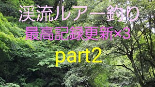 [渓流ルアー釣り]　#14 part2 滋賀県　愛知川上流　御池川　足谷