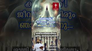 കരയരുത്, ജീവനും ഉയിരും ഞാനാകുന്നു Fr. Jison Paul #frjisonpaulvengasserry #jesus #vachanam #bible