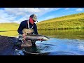 sea trout fly fishing iceland tungufljot river huge sea trout