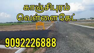 காஞ்சிபுரம் | வெள்ளை கேட் |DTCP  #kanchipuram #kanchipattusarees #kanchipuramplots #investorswanted