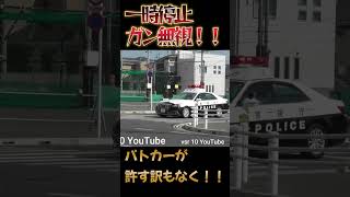 死角にパトカーが隠れてるのに、一時停止ガン無視！！