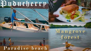 Puducherry Trip Vlog - Part 2 | Mangrove Forest at Pichavaram | Cafe des Arts | Paradise beach