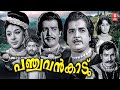 Panchavan Kaadu Malayalam Full Movie | Prem Nazir | Sathyan | Sheela | Malayalam Old Movies