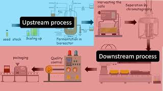 Bio processing overview Upstream and downstream process