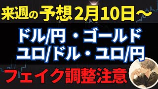 【FX先出し予想】２月10日〜【ポンドル・ポン円・豪ドル・豪円】～トレードシナリオ【投資家プロジェクト億り人さとし】