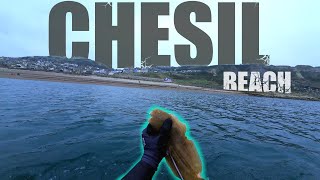 Last dive of 2024! Spearfishing at Chesil Beach