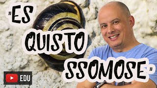 Esquistossomose I Parasitologia