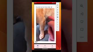 Tiktok Clone | Shorts Video Application | Full Tutorial #androidstudio #firebase #shorts #kotlin