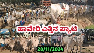 ಹಾವೇರಿ ಎತ್ತಿನ ಪ್ಯಾಟಿ || Haveri Bulls Market || ಪ್ರತಿ ಗುರುವಾರ ಬೆಳಿಗ್ಗೆ || #haveribullsmarket #haveri