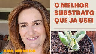 MEU SUBSTRATO PARA SUCULENTAS