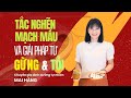 Dấu hiệu nhận biết MẠCH MÁU BỊ TẮC NGHẼN & giải pháp đơn giản từ GỪNG + TỎI | Mai Hằng Mahaso