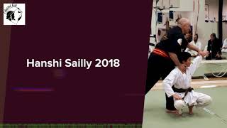 Hanshi Alain Sailly 2018