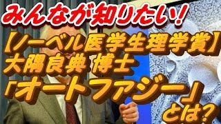 【ノーベル医学生理学賞】大隅良典 博士　オートファジー　とは？