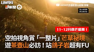 秋季新北市茶壺山必訪「芒草祕境」 站鴿子岩拍照 超殺記憶體｜東北角｜登山