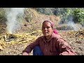 हमारे खेत की हल्दी pahadi village life villagelife pahadi