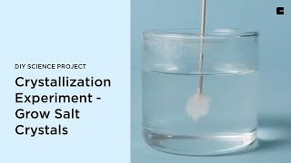 Crystallization Experiment - Grow Salt Crystals | DIY Science Project