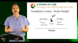 Dr. Weiner's Weight Loss Surgery Channel - Postop Nutrition