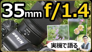 Nikon NIKKOR Z 35mm f/1.4 【実機で語る単焦点レンズの特徴とボケ味の違い】 フルサイズ Z8やAPS-CのZfcにオススメ。