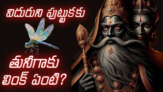 విదురుని పుట్టుక తునీగాకు లింక్ ఏంటి? #mahabharatham #vidura #vyasa #facts #mahabharat #mahabharata