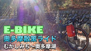 【E-BIKE】腰が痛いのに奥多摩散策ライド【グラベルロード】