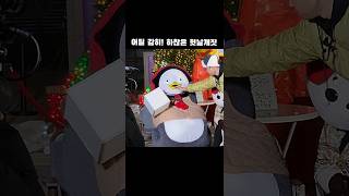 #직캠 #군고구마장수펭수 수익금 지키려는 펭수 두번연속 매서운 헛날개짓 #하찮은데 #귀여워 #날개저울 #제께더무거워여 #저리가 #임문식이 #펭수 #홍대