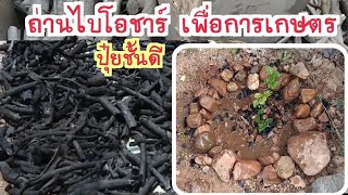 ถ่านไบโอชาร์ เพื่อการเกษตร ปุ๋ยชั้นดี ถ่านชีวภาพ biochar | Rose Thiyada