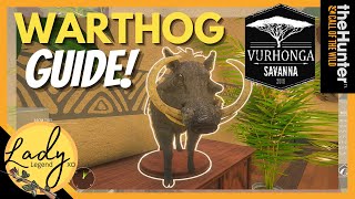 Warthog Guide 2020 - Including a Huge DIAMOND Warthog!  Savanna Hot Spot Series - Call of the Wild