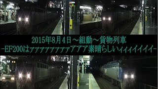 2015年8月4日～組動～貨物列車 -EF200はァァァァァァァァアアア素晴らしいィィィイイイイ-