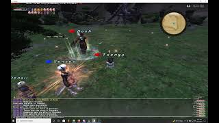 FFXI -- Valhalla -- Bahamut -- BLU fight