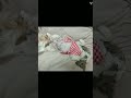 シーズー犬 かのんの日常 可愛すぎるお昼寝わんこ 〖 cat like dog〗