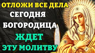 Сейчас БОГОРОДИЦА ЖДЕТ ЭТУ МОЛИТВУ! Очень сильная молитва Пресвятой Богородице. Православие