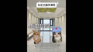 第2集 |长征之路开满花...#catmemes #cat #catlover #小说 #故事 #story #推文 #情感 #复仇 #爽文 #反转 #一口气看完 #已完结 #长征 #爱国 #正能量