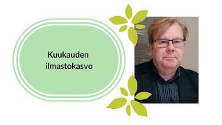 Kuukauden ilmastokasvo: Jari Viinanen, Vantaa