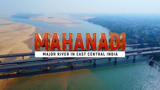 Mahanadi River Drone View | mahanadi | Mahanadi Cuttack | Mahanadi River |#mahanadiriver|#mahanadi