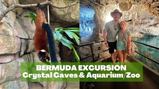 Bermuda Crystal Caves | Bermuda Aquarium \u0026 Zoo | Dinner, Dance, Drag! Royal Caribbean Cruise Day 4