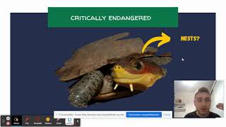 Turtle tech: Electronic device to assist in the preservation of the chelonian species M. hogei