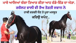 ਵੇਖੋ ਖਲੀਫੇ ਦਾ ਪੁੱਤ ਤੇ ਬੱਚੇ ਵੀ ਪੰਚ ਕਲਿਆਣ ਦਿੰਦਾ,ਜੇ ਚੰਗਾ ਲੱਗਦਾ ਤਾਂ ਦੇ ਵੀ ਦੇਣਗੇ,ਨਾਲ ਨੁੱਕਰਾ ਵਸ਼ੇਰਾ ਵਿਕਾਊ