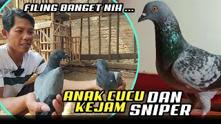 ISI KANDANG TERNAK MAS ARIS DI PENUHI TRAH KEJAM DAN SNIPER