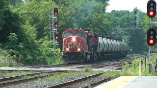 CN Train 586 Eastbound Meets VIA Train 53 Westbound July 27, 2024