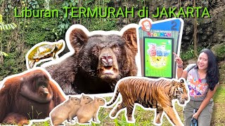 Liburan TERMURAH di Jakarta I Ragunan I Terbaru 2025