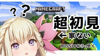 新人Vtuber🦍🐫【初Minecraft】勝手に家を作って皆を驚かせたい！！(後半雑談）