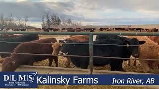 DLMS Direct - Kalinsky Farms - Hfrs